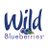 WildBBerries's profile image