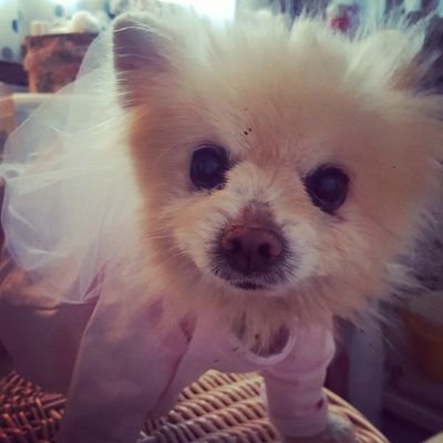 antgaude's profile picture. Prof.