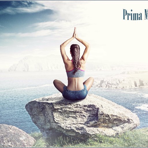 LifeMateria's profile picture. Wellness, health, mental fitness, positive deviance