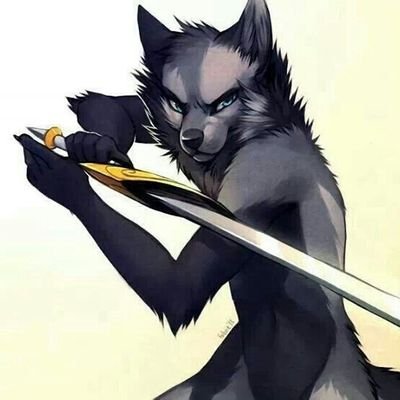 I'm a furry, I'm a fan of sao and other anime I'm single and I'm gay, i love to rp too