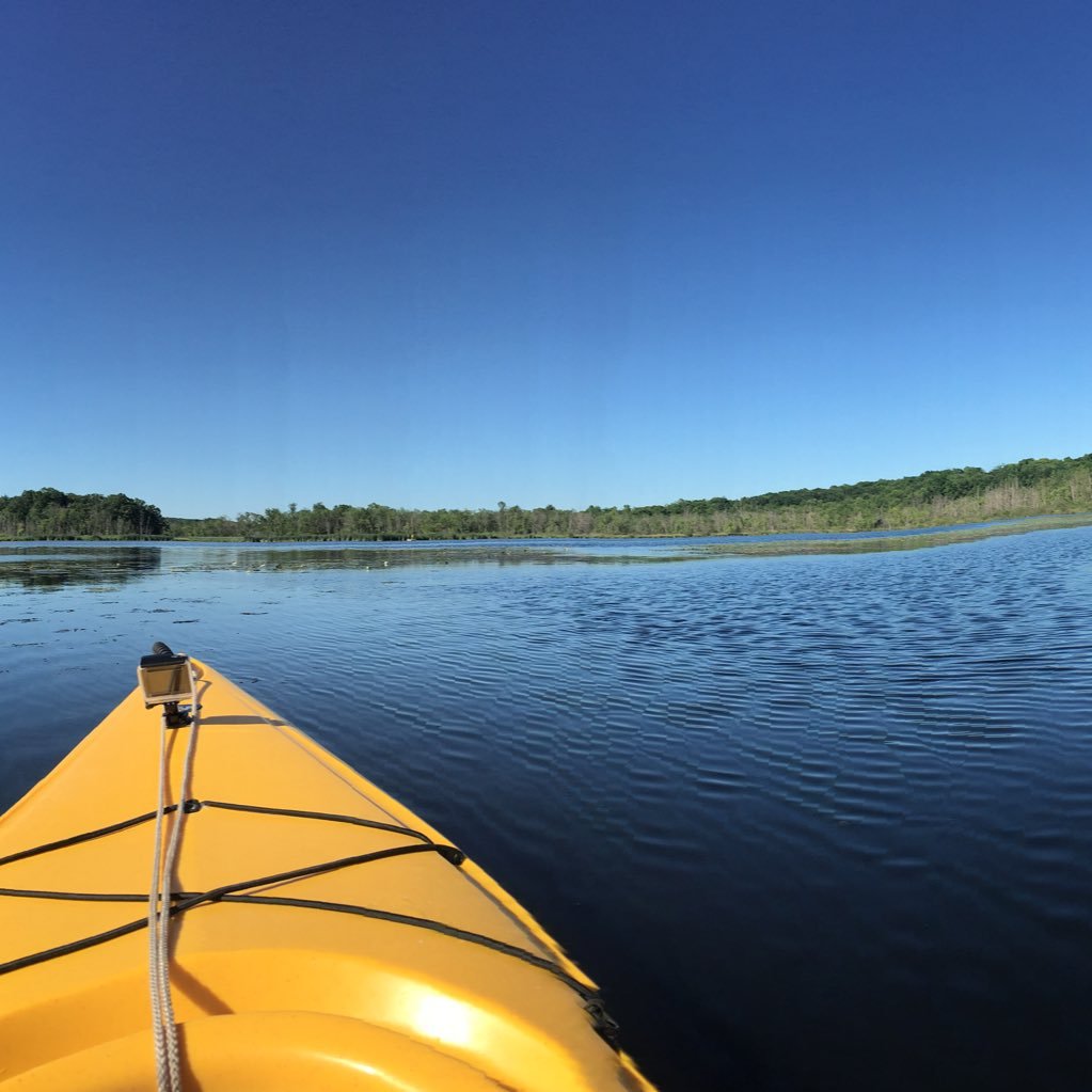 breaklearnfix's profile picture. 