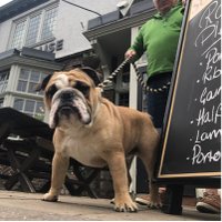 The Sussex Arms (@thesussexarms) 's Twitter Profile