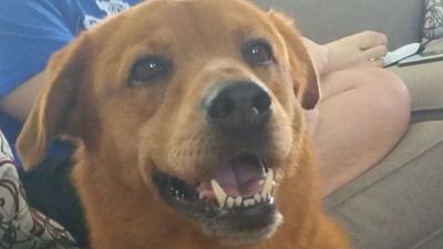 flopypancake's profile picture. 