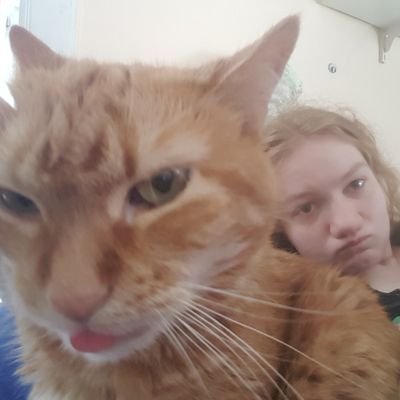 VampPhoenix999's profile picture. She/her. 23 years old, autistic, and queer. I'm a fan of video games and robots. Game design student. Ask me about my obsessions.