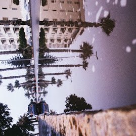 vanvovo's profile picture. 