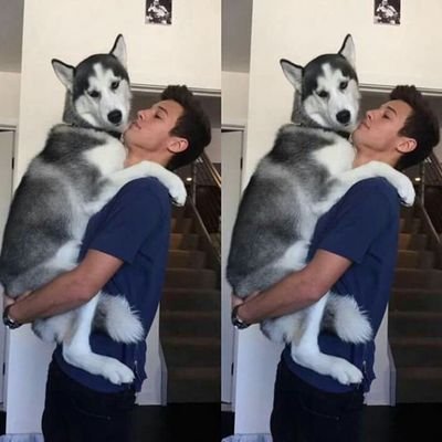 I love my boyfriend Michael DiSante🤥💍
Love my Youtubers and bands😊‼️