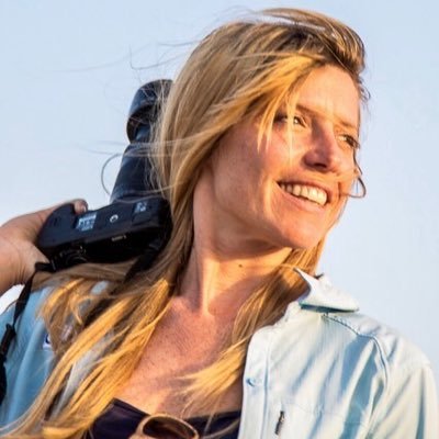 StefaniaDonati's profile picture. to the summit