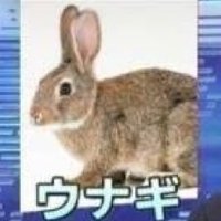 餌卵孫・よかった嬉君 (@magohimago20) 's Twitter Profile