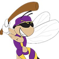 San Jose Sting (@sjsting) 's Twitter Profile