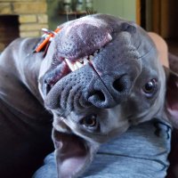 randy joe davis (@randyjoedavis1) 's Twitter Profile