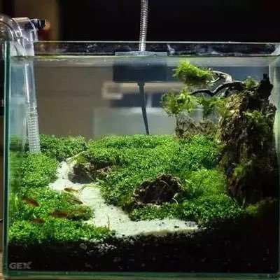 oneway38291529's profile picture. beyourself