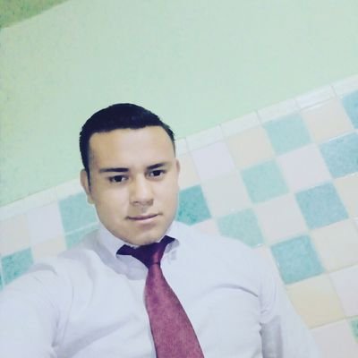 Estudiante en ESIME AZC
Ing. mecanica
Becario en Tesla