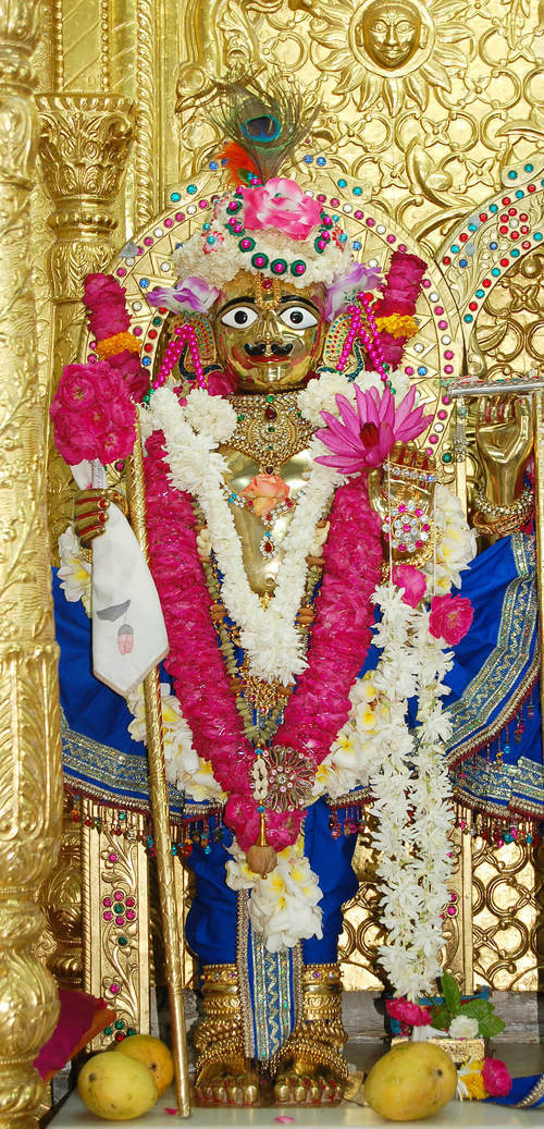 ashish_1008's profile picture. 