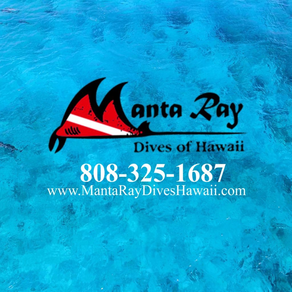 Join us for an up-close encounter with the famous Kona Manta Rays on the Big Island of Hawaii. We accommodate snorkelers of all ages and certified divers.