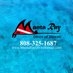 Manta Ray Dives HI (@mantaraydiveshi) Twitter profile photo Manta Ray Dives HI (@mantaraydiveshi) Twitter profile photo