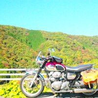 あい (@aioui0731) 's Twitter Profile