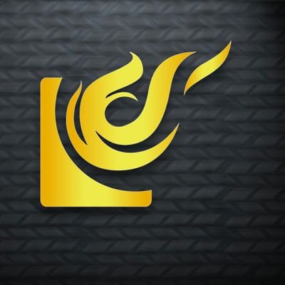 lightson_media Profile Picture