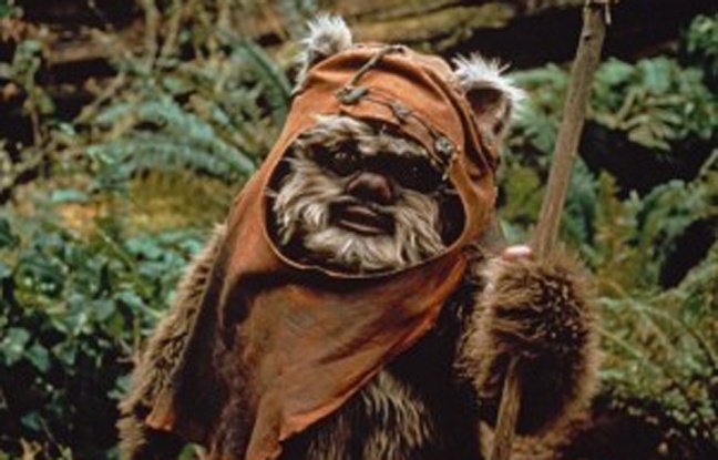 EwoksTocks's profile picture. 