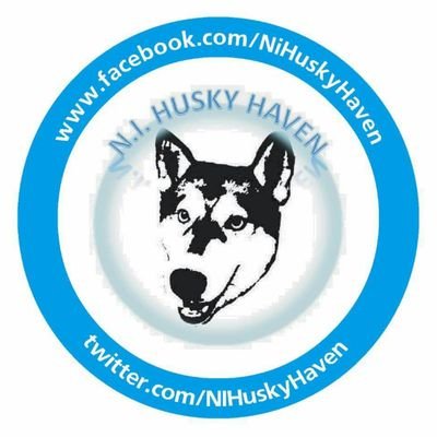 NIHuskyHaven's profile picture. We Share Huskies, Malamutes & Snow Breeds needing homes in Northern Ireland/Ireland. Huskies in Pounds/Shelters/Lost & Found #HappyHuskies