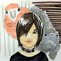 鳥取実況かさたろう (@kasatarou0) 's Twitter Profile