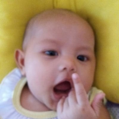 PANCASILA 
BIHINIKATUNGALIKA
NKRI INDONESIA
SEUTUHNYA
