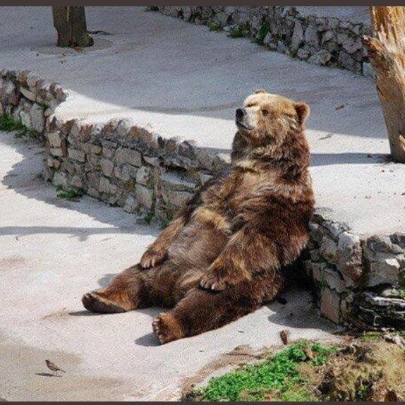 B_wagnasty's profile picture. Just a Man & his Dog