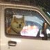 waiter driver (@waiter98972621) Twitter profile photo waiter driver (@waiter98972621) Twitter profile photo