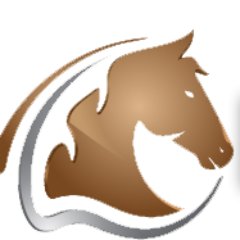 Equestrian living. New experiences and tips that help me to make everyday more fun for me and my horses. Visit me http://www.horsesofsweden