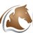 HorsesOfSweden's profile image