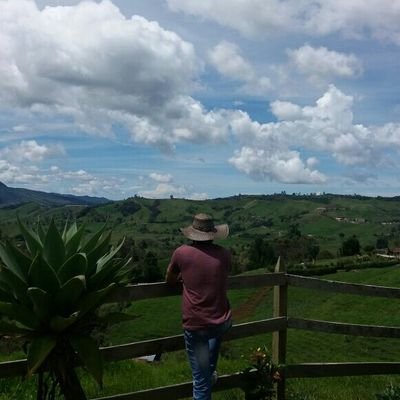 juankchamo's profile picture. 