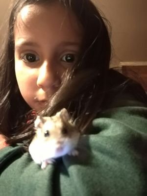 GuerraRiadi's profile picture. Hola