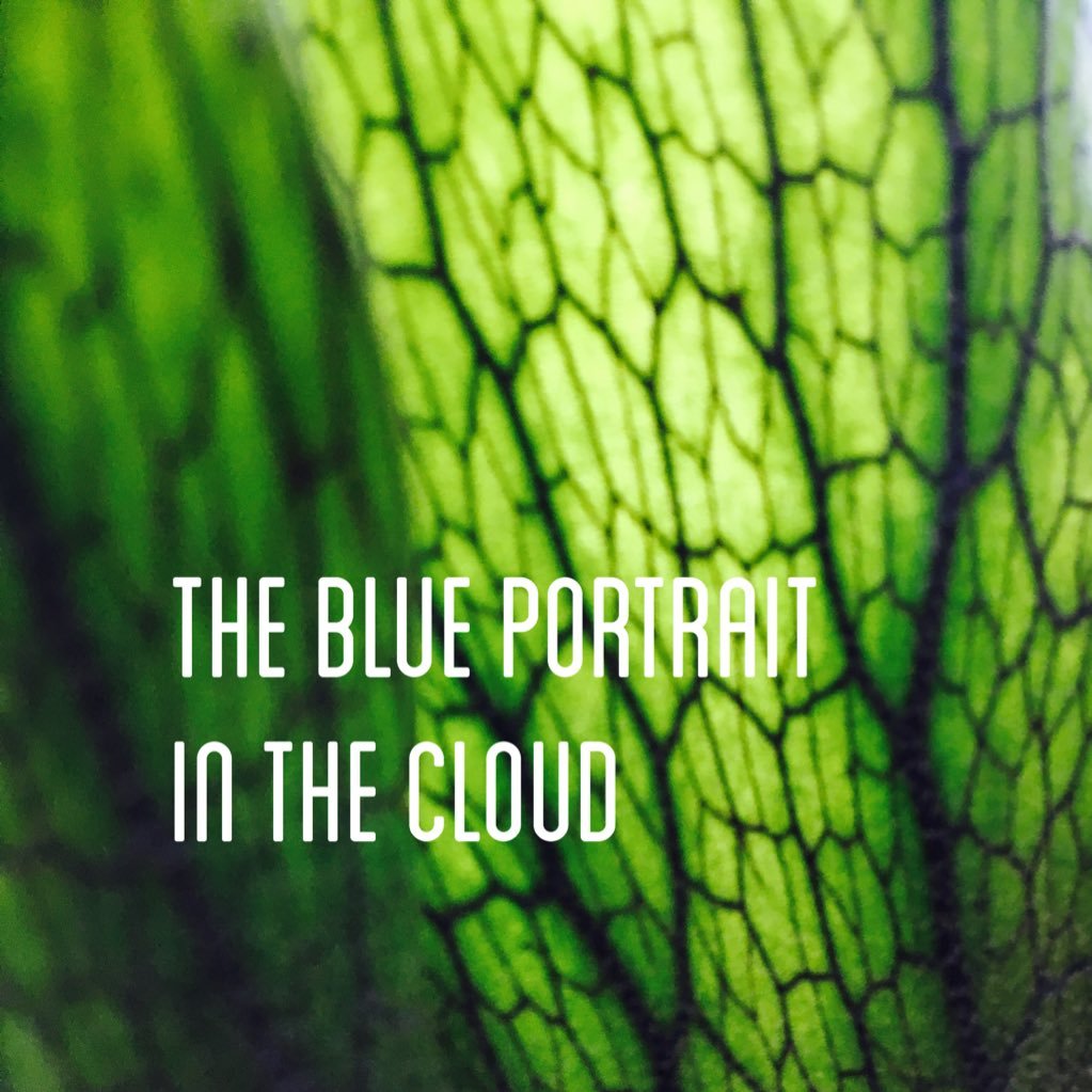 THE BLUE PORTRAIT IN THE CLOUD official 【YouTube channel】https://t.co/bokfe7hzUc【booking】→tbpitc@gmail.com