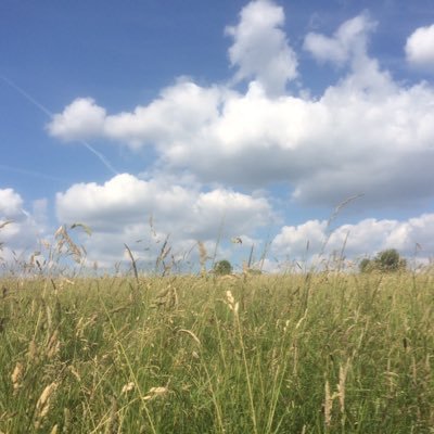 MattDelargy's profile picture. Films and things. Did producing. Now doing writing. Teach a bit at @NFTSFilmTV