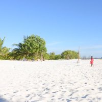 thakandhoo ahmed (@thakandhoo) 's Twitter Profile