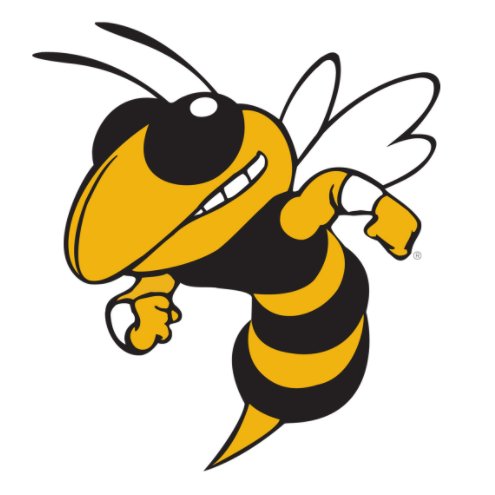 Calhoun Football Profile
