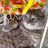 bungalow360's profile image