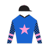 AreionTbreds's profile picture. Thoroughbred Breeder, Owner & Venture Advisor | Equine Talent Scout focused on Value Purchases | Horse Player | Racing Enthusiast | Business Growth Strategist