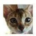 yuka (@yuka24) Twitter profile photo yuka (@yuka24) Twitter profile photo