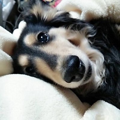 highfun0825's profile picture. 🍵県西部/スポンジのような柔軟性の♂/ゲーム・アニメ好き/最高の快楽は一人じゃ作れないと思う、とか言っちゃうノーマル