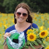 Andi Feille (@andifeille1) 's Twitter Profile