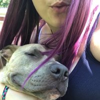 sammi swirlene (@sammidegg) 's Twitter Profile