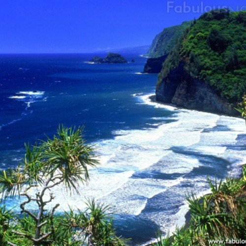 josephyung1one's profile picture. Using the best of nature's natural gift,and refining into something that has becomes man essential,to
 satisfy it's natural taste.