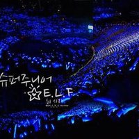 Mia E.L.F (@rainlee_elf) 's Twitter Profile
