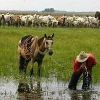 JoseGBarrios3's profile picture. Medico Veterinario ,convencido que Venezuela cambiará a una República civil garante de los Derechos civiles