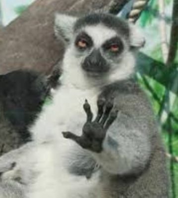 ImaPNess69's profile picture. Get off my dick, haters