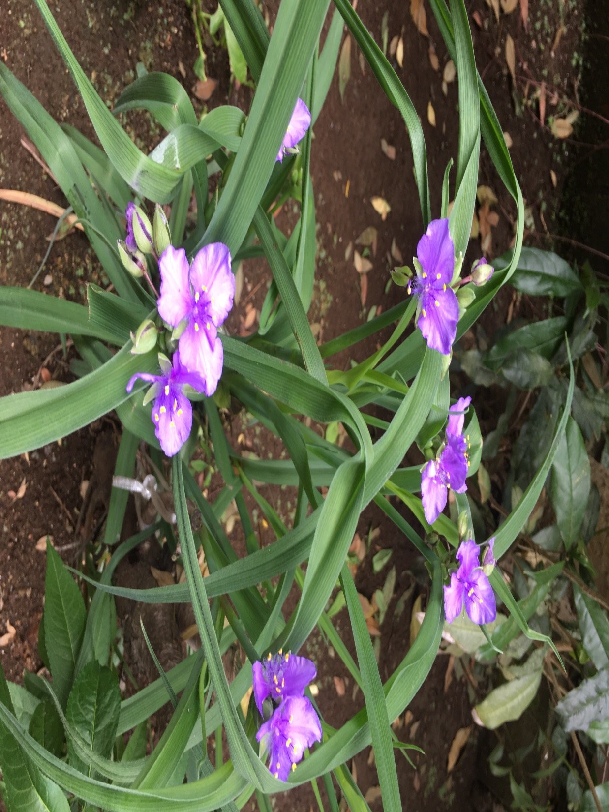 ZQZmONKULLsBHkw's profile picture. 