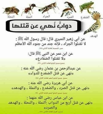 XMapSQaWbmFtb4V's profile picture. أبو زيد