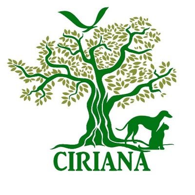 Asociación para la preservación de la naturaleza del distrito 8. Churriana Málaga
https://t.co/3eB8It1x3s