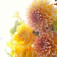 *ダリア* (@dahlia_happy7) 's Twitter Profile Photo *ダリア* (@dahlia_happy7) 's Twitter Profile Photo