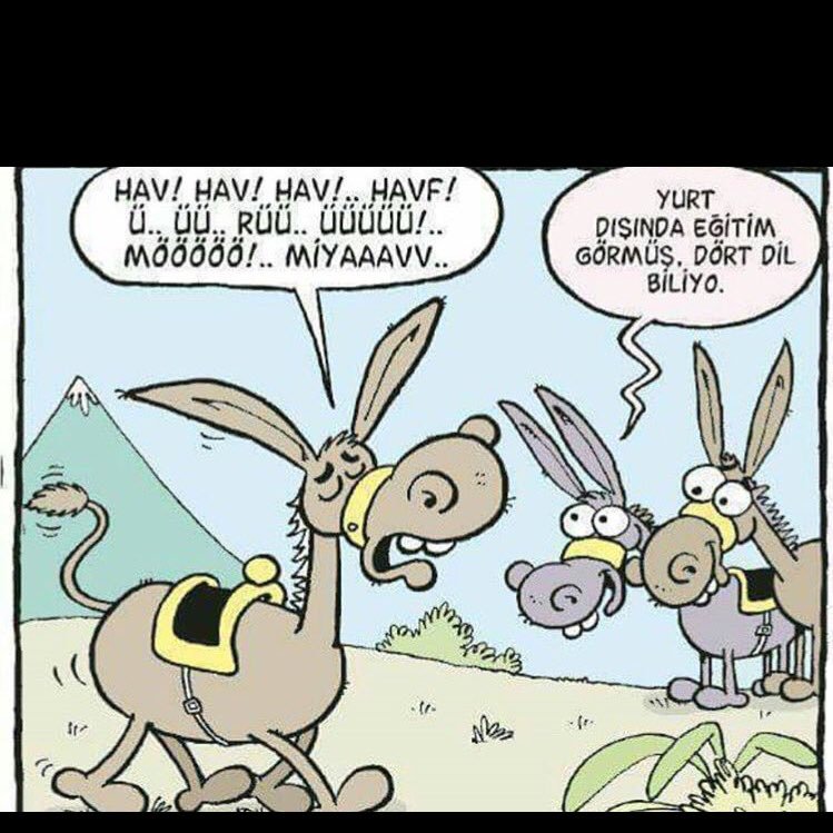 m_c_b7's profile picture. 